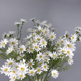 Daisy Flower Spray in White 76cmH